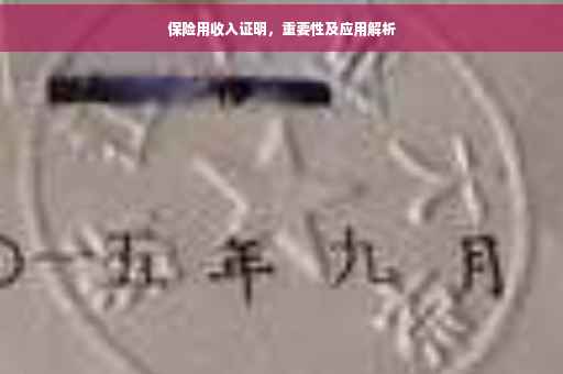 保险用收入证明，重要性及应用解析