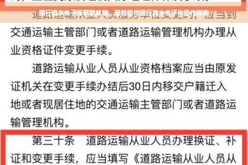 银行流水电子版获取攻略，轻松操作银行流水电子化操作指南