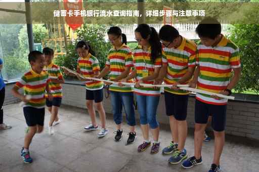 储蓄卡手机银行流水查询指南，详细步骤与注意事项