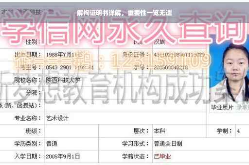 解拘证明书详解，重要性一览无遗
