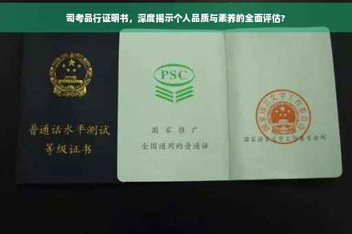 司考品行证明书，深度揭示个人品质与素养的全面评估?