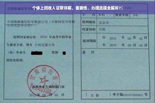个体上班收入证明详解，重要性、办理流程全解析?✨