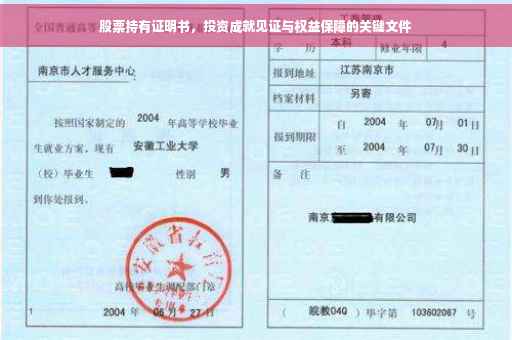 股票持有证明书，投资成就见证与权益保障的关键文件