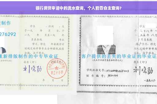 银行房贷申请中的流水查询，个人能否自主查询？