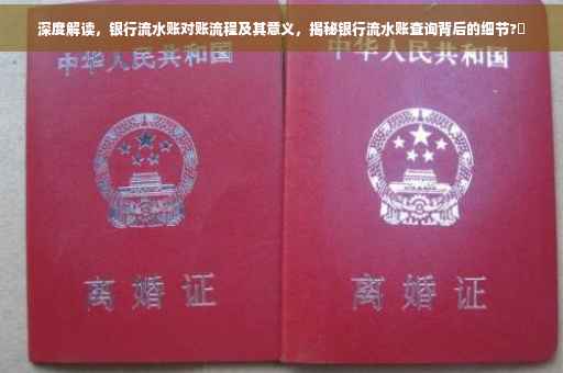 深度解读，银行流水账对账流程及其意义，揭秘银行流水账查询背后的细节?✨