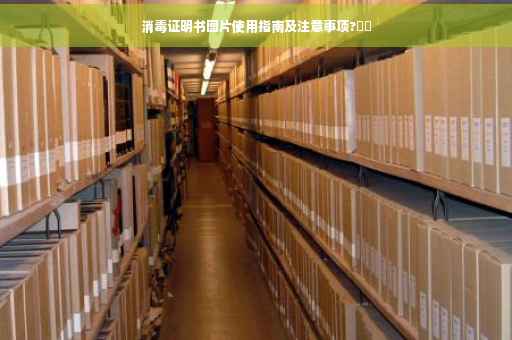 消毒证明书图片使用指南及注意事项?⚡️