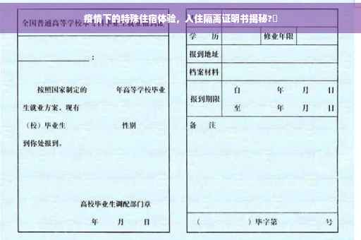 疫情下的特殊住宿体验，入住隔离证明书揭秘?✨