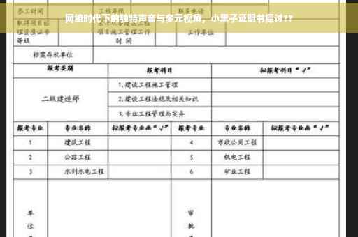 网络时代下的独特声音与多元视角，小黑子证明书探讨??