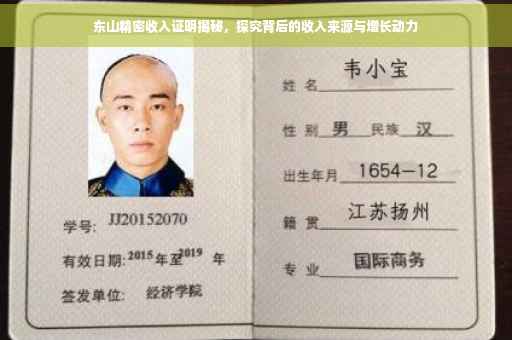 东山精密收入证明揭秘，探究背后的收入来源与增长动力