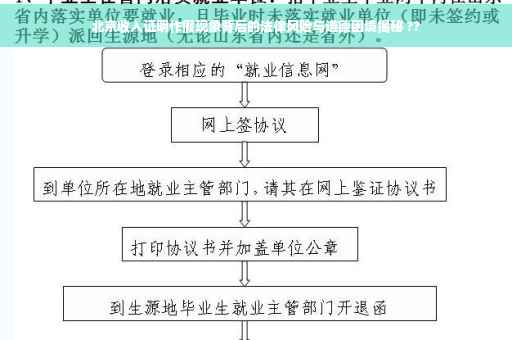 北京收入证明作假现象背后的法律风险与道德困境揭秘 ??