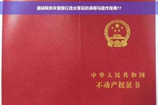揭秘税务所查银行流水背后的真相与操作指南??