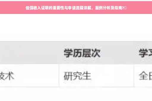 低保收入证明的重要性与申请流程详解，案例分析及指南?✨