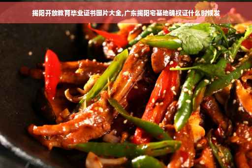 揭阳开放教育毕业证书图片大全,广东揭阳宅基地确权证什么时候发