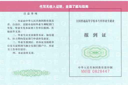 代写无收入证明，全面了解与指南