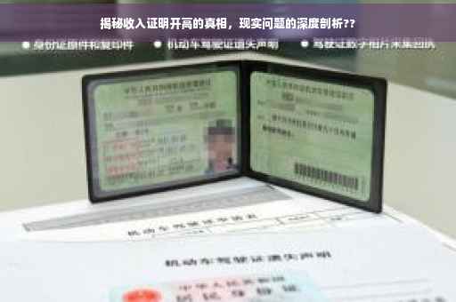 揭秘收入证明开高的真相，现实问题的深度剖析??