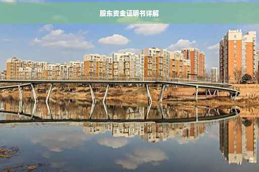 股东资金证明书详解