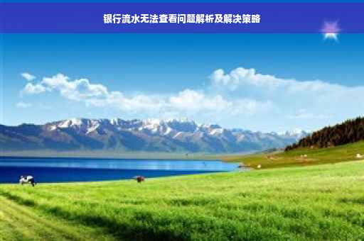银行流水无法查看问题解析及解决策略