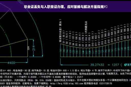 毕业证丢失与入职签证办理，应对策略与解决方案指南?✨