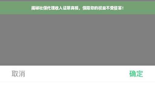 揭秘社保代理收入证明真相，保障您的权益不受侵害！