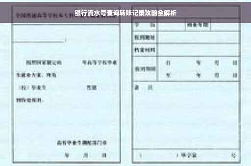 银行流水号查询转账记录攻略全解析