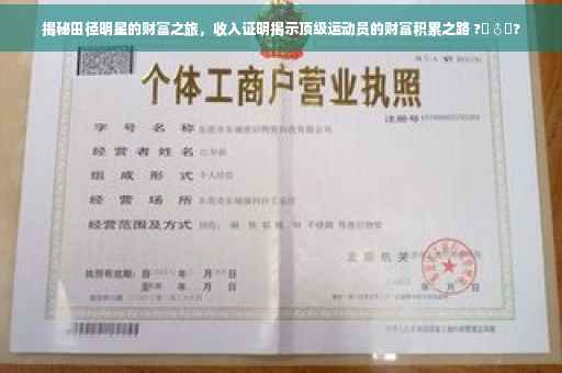 揭秘田径明星的财富之旅，收入证明揭示顶级运动员的财富积累之路 ?‍♂️?
