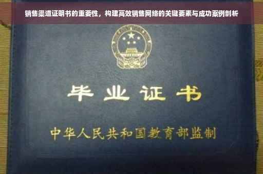 销售渠道证明书的重要性，构建高效销售网络的关键要素与成功案例剖析
