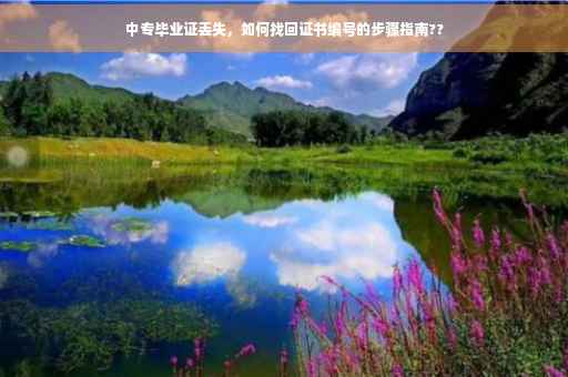 中专毕业证丢失，如何找回证书编号的步骤指南??