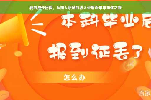 我的成长历程，从初入职场的收入证明看半年自述之路