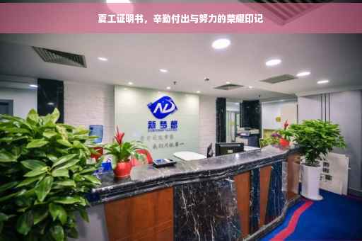 夏工证明书，辛勤付出与努力的荣耀印记