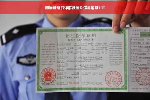 脑瘤证明书详解及图片信息解析?⚡️