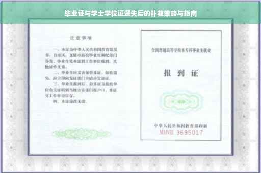 毕业证与学士学位证遗失后的补救策略与指南
