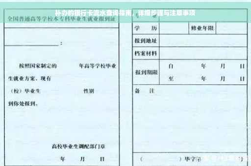 补办的银行卡流水查询指南，详细步骤与注意事项