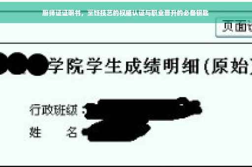 厨师证证明书，烹饪技艺的权威认证与职业晋升的必备钥匙