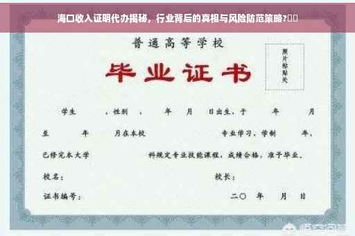 海口收入证明代办揭秘，行业背后的真相与风险防范策略?⚡️