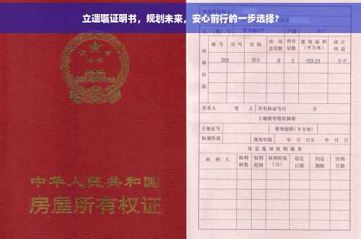 立遗嘱证明书，规划未来，安心前行的一步选择?