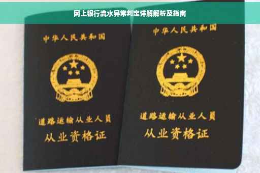网上银行流水异常判定详解解析及指南