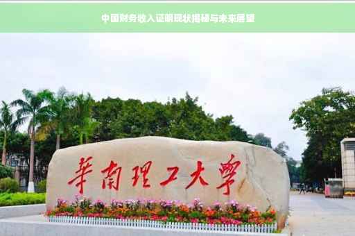 中国财务收入证明现状揭秘与未来展望