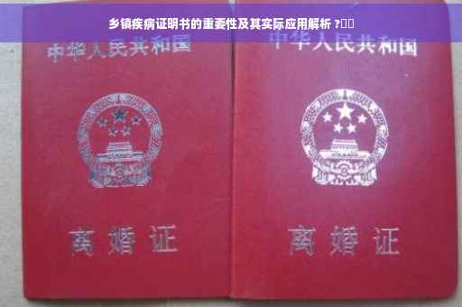 乡镇疾病证明书的重要性及其实际应用解析 ?⚡️