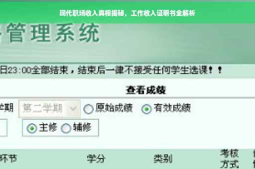 现代职场收入真相揭秘，工作收入证明书全解析