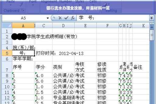 银行流水办理全攻略，所需材料一览