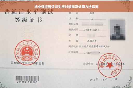 毕业证报到证遗失应对策略及处理方法指南