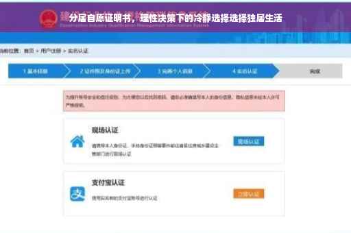 分居自愿证明书，理性决策下的冷静选择选择独居生活