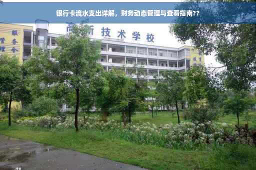 银行卡流水支出详解，财务动态管理与查看指南??