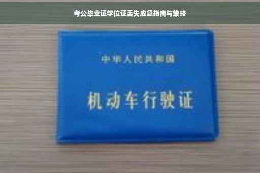 考公毕业证学位证丢失应急指南与策略