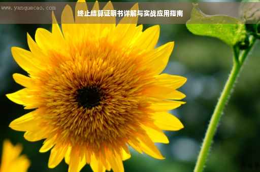 终止结算证明书详解与实战应用指南