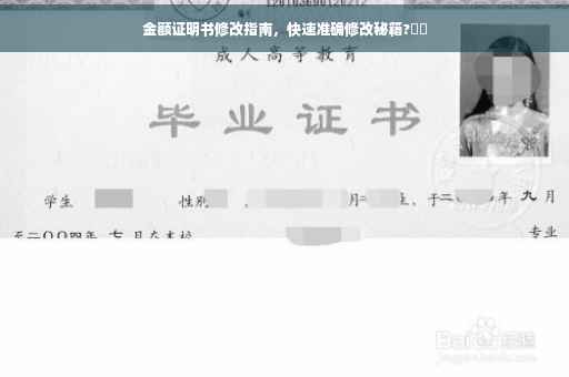 金额证明书修改指南，快速准确修改秘籍?⚡️
