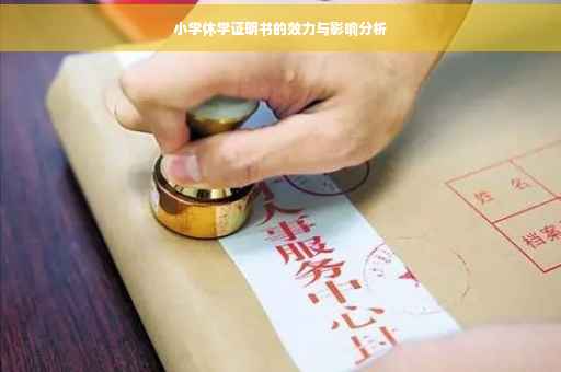 小学休学证明书的效力与影响分析