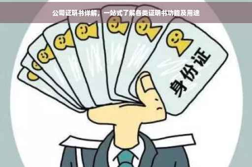 公司证明书详解，一站式了解各类证明书功能及用途