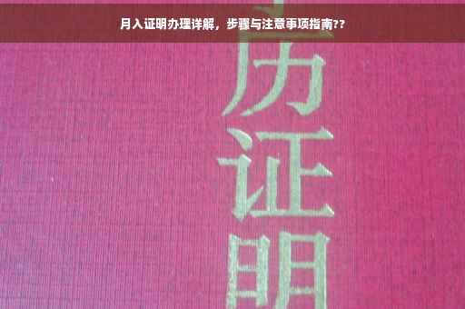 月入证明办理详解，步骤与注意事项指南??