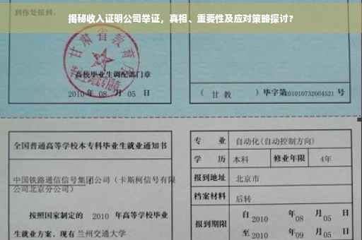 揭秘收入证明公司举证，真相、重要性及应对策略探讨?